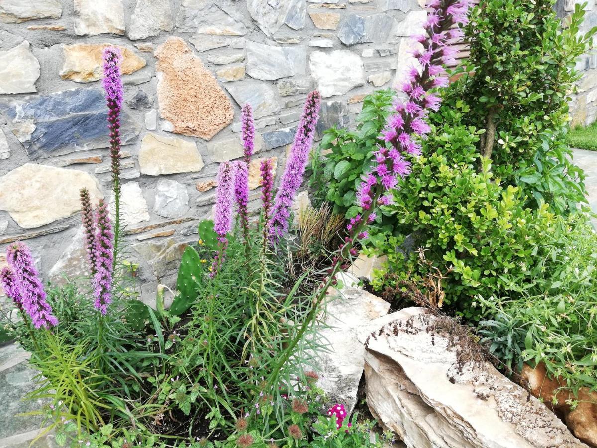 Olympus Country House Karia (Thessaly) Exterior foto